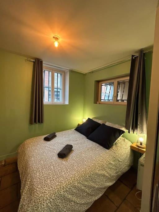 Le Cosy Balat Biel Rdc Jardin Spacieux Grisolles  Bagian luar foto